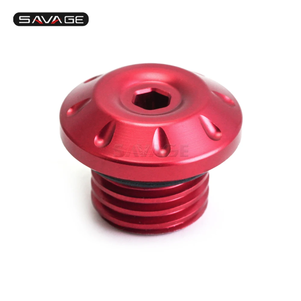 S Oil filler screw (8)