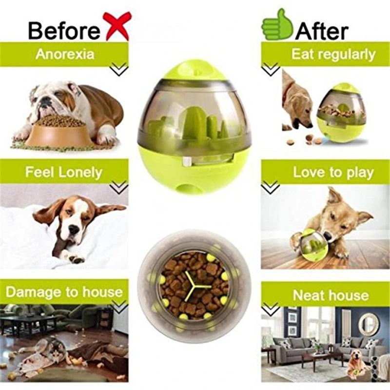 Pet Food Dispenser Image