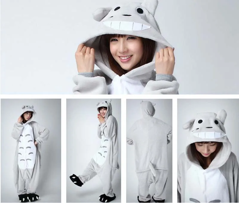 totoro 5