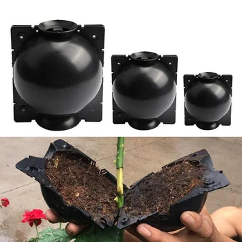 Garden Plant Rooting Ball Grafting Device High Pressure Plant Rooting Growing Propagation Grafting Box Breeding Case
Garden Plant Rooting Ball Grafting Device High Pressure Plant Rooting Growing Propagation Grafting Box Breeding Case