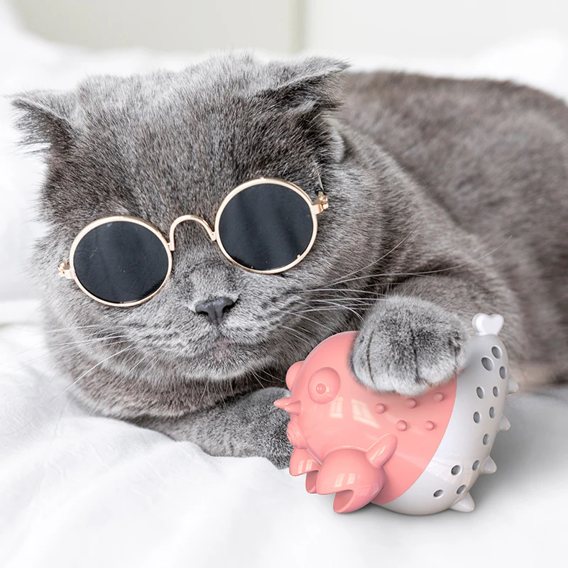 Crayfish multi-function cat toy cat Mint fish molars teeth bite stick automatic voice self hi hair rubbing magic device
Crayfish multi-function cat toy cat Mint fish molars teeth bite stick automatic voice self hi hair rubbing magic device