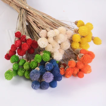 15pcs 55cm natural dried flowers decorate fresh Multicolor ball real flower For table wedding Home Decoration Photography props
15pcs 55cm natural dried flowers decorate fresh Multicolor ball real flower For table wedding Home Decoration Photography props