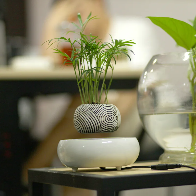 Magnetic Levitation Air Floating Bonsai Plant Pot Mini Plastic Flower Sky Plant Pot Succulent Plant Pot for Decoration
Magnetic Levitation Air Floating Bonsai Plant Pot Mini Plastic Flower Sky Plant Pot Succulent Plant Pot for Decoration