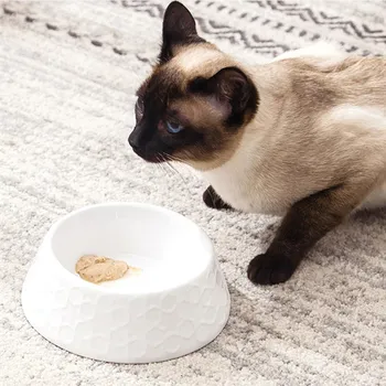 Pet Feeding Supplies Solid Color Cats and Dogs Drinking Water Ceramic Food Bowls Easy To Clean To Protect The Cervical Spine
Pet Feeding Supplies Solid Color Cats and Dogs Drinking Water Ceramic Food Bowls Easy To Clean To Protect The Cervical Spine