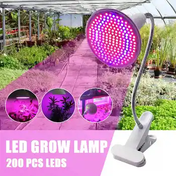 E27 85-265V Indoor Growing Light 20W 200 pcs LED Grow Light Full Spectrum For Plants Hydroponics Flowers Vegetables Grow
E27 85-265V Indoor Growing Light 20W 200 pcs LED Grow Light Full Spectrum For Plants Hydroponics Flowers Vegetables Grow