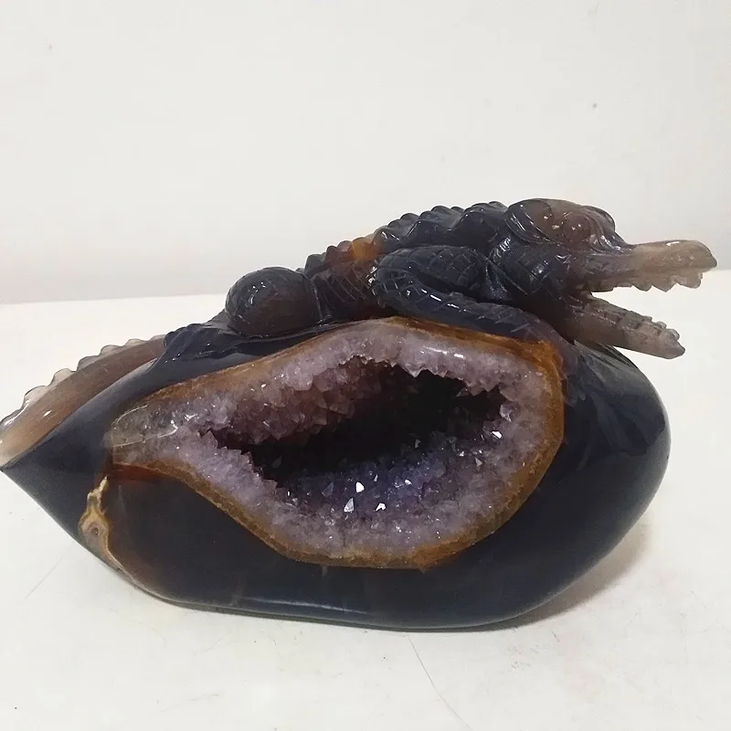 1530g Natural Amethyst geode sculpture crocodile statue home decoration stones and crystals perfect combination
1530g Natural Amethyst geode sculpture crocodile statue home decoration stones and crystals perfect combination