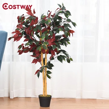 4 Ft Artificial Capensia Bush Indoor Outdoor Leaves Ficus Tree Simulated Moss Base Easy Clean Realistic Greenery Decor Tree
4 Ft Artificial Capensia Bush Indoor Outdoor Leaves Ficus Tree Simulated Moss Base Easy Clean Realistic Greenery Decor Tree