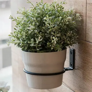 3Pcs Wall Mounted Flower Pot Trays 11cm/15cm Folding Metal Pot Ring Holder Flower Planter Tray Stand Wall Bracket Balcony
3Pcs Wall Mounted Flower Pot Trays 11cm/15cm Folding Metal Pot Ring Holder Flower Planter Tray Stand Wall Bracket Balcony