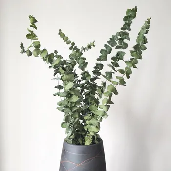 2pcs Nordic eucalyptus leaf bouquet natural drying real home decoration photos props Florist dried flowers
2pcs Nordic eucalyptus leaf bouquet natural drying real home decoration photos props Florist dried flowers