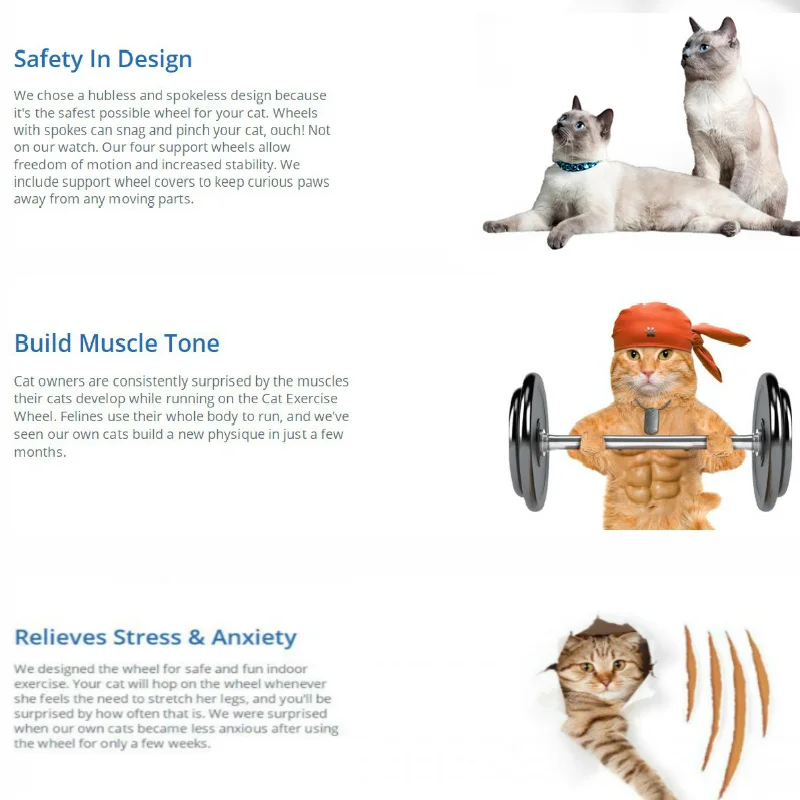 Cat Climbing Wheel Treadmill Cat Climbing Wheel Treadmill