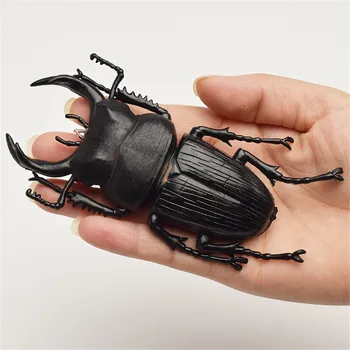 6 style 13cm Simulation Toys Special Lifelike Model Simulation Insect Toy Nursery Teaching Aids Joke Toys
6 style 13cm Simulation Toys Special Lifelike Model Simulation Insect Toy Nursery Teaching Aids Joke Toys