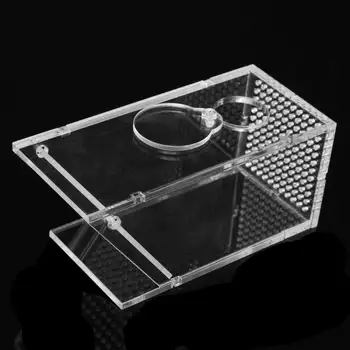 Acrylic Aquarium Shrimps Crabs Trap Box One-way Valve Safe Catch Box Fish Tank Supplies Transparent Acrylic Fishing Boxes Clear
Acrylic Aquarium Shrimps Crabs Trap Box One-way Valve Safe Catch Box Fish Tank Supplies Transparent Acrylic Fishing Boxes Clear
