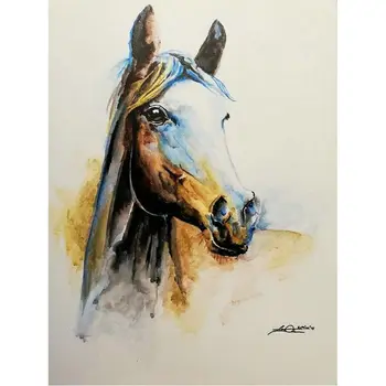 DIY Diamond Painting Cross Stitch Horse head pattern 5D Diamond Embroidery Full square round Diamond Mosaic Crystal wall Decor
DIY Diamond Painting Cross Stitch Horse head pattern 5D Diamond Embroidery Full square round Diamond Mosaic Crystal wall Decor