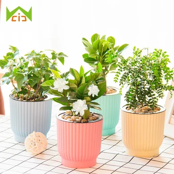 WCIC Creative Succulent Plant Automatic Watering Flower Pots Decorative Desktop Plastic Flower Pot Hydroponic Potted Bonsai
WCIC Creative Succulent Plant Automatic Watering Flower Pots Decorative Desktop Plastic Flower Pot Hydroponic Potted Bonsai