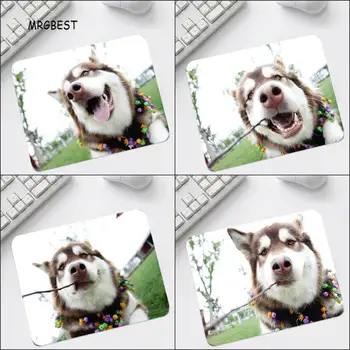 MRGBEST Animal Dog Funny Expression Printed Mouse-pads Non-slip Desk Mice Mats for Office Table Pad S Size 22x18/25x20/25x29cm
MRGBEST Animal Dog Funny Expression Printed Mouse-pads Non-slip Desk Mice Mats for Office Table Pad S Size 22x18/25x20/25x29cm