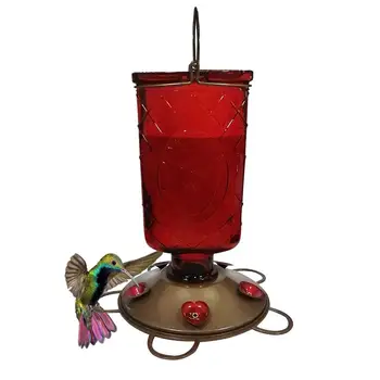 600ML Plastics Bird Water Feeder Bottle Hanging Hummingbird Feeder Garden Outdoor Plastic Flower Iron Hook Bird Feeder
600ML Plastics Bird Water Feeder Bottle Hanging Hummingbird Feeder Garden Outdoor Plastic Flower Iron Hook Bird Feeder