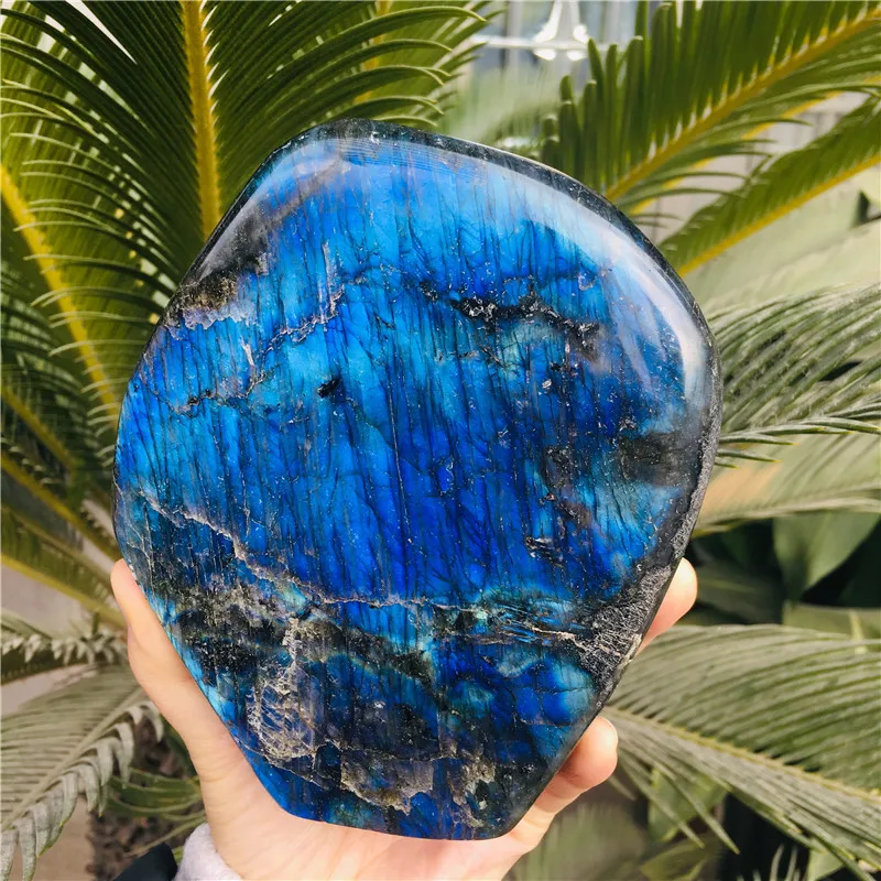 2020_12_09_10_26_IMG_2220