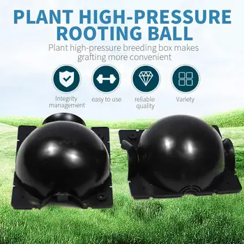 1/5 Pcs Beautiful Creative Economic Rooting Ball Plant High Pressure Box Plant Plant Propagation Box Wall Craft Balcony Planter
1/5 Pcs Beautiful Creative Economic Rooting Ball Plant High Pressure Box Plant Plant Propagation Box Wall Craft Balcony Planter