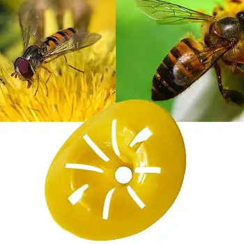 Wasp Traps Collecting Cage Bee Tiger Bee Traps Catching Beekeeping Tools Reusable Collecting Bee Tool Garden Yard Supplies
Wasp Traps Collecting Cage Bee Tiger Bee Traps Catching Beekeeping Tools Reusable Collecting Bee Tool Garden Yard Supplies