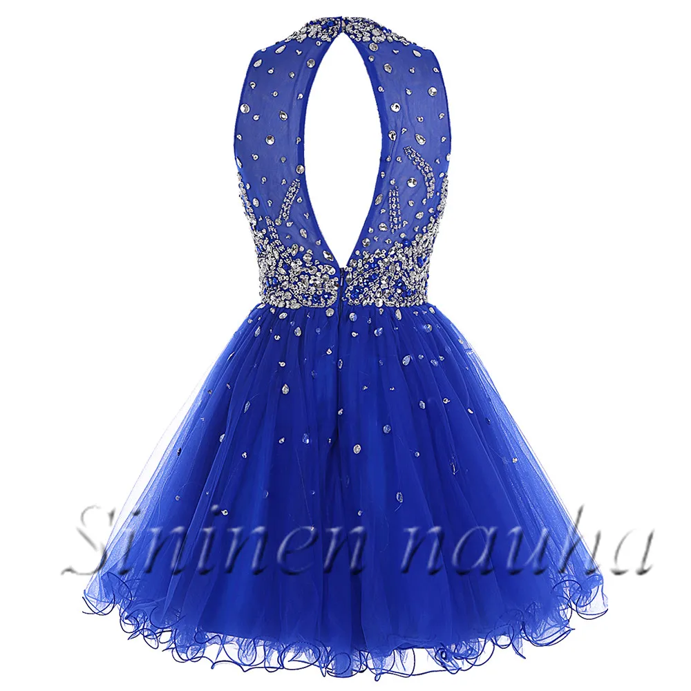 royalblue (2)