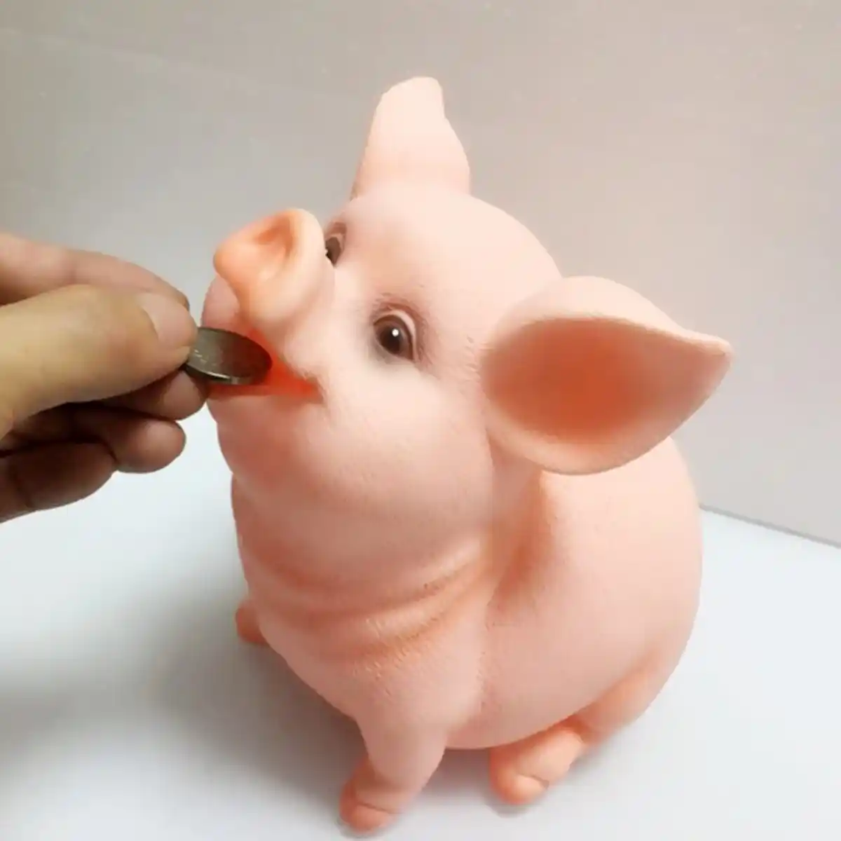 cute blessing pig money box piggy bank cartoon pig shaped coin