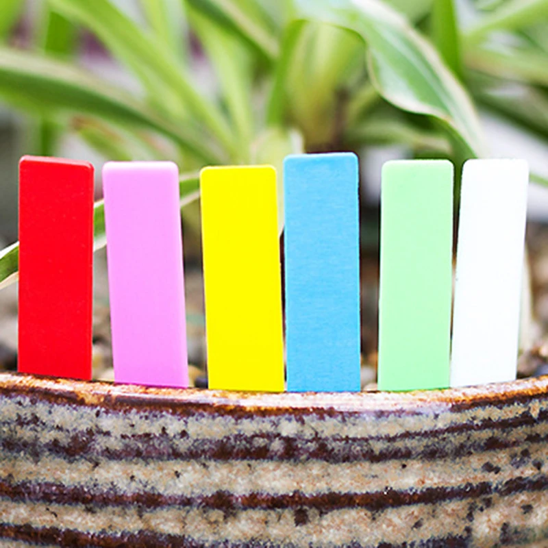 100pcs Waterproof Plant Labels Garden Backyard Gardening Succulent Bonsai Seed Vegetables Fruits Classification Markers
100pcs Waterproof Plant Labels Garden Backyard Gardening Succulent Bonsai Seed Vegetables Fruits Classification Markers