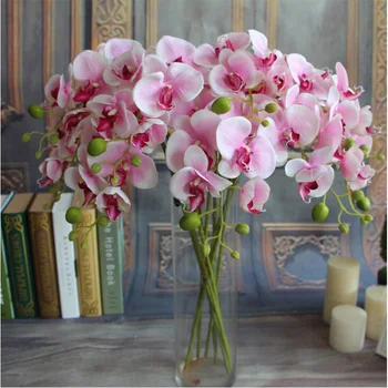 1Pcs 7 Heads Artificial Flowers Real Touch Artificial Orchid Fake Butterfly Orchid For Home Wedding Festival Decoration JH183
1Pcs 7 Heads Artificial Flowers Real Touch Artificial Orchid Fake Butterfly Orchid For Home Wedding Festival Decoration JH183