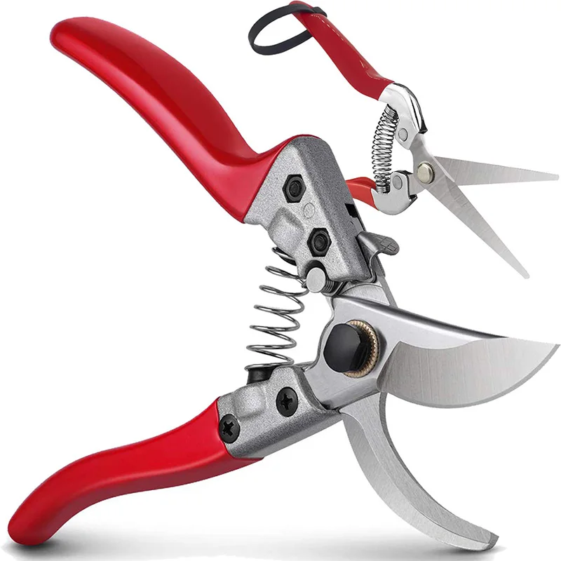 8 inch Bypass Pruning Shears with Stainless SK5 Steel Blades + Straight Tip Pruning Shears Herb Pruning Shears Florist Scissors-
8 inch Bypass Pruning Shears with Stainless SK5 Steel Blades + Straight Tip Pruning Shears Herb Pruning Shears Florist Scissors-