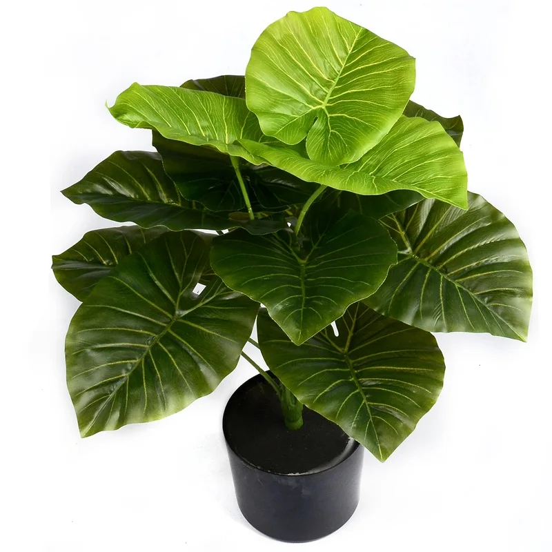 1 Bouquet/12 leaves Artificial Silk Green radish Leaves Green Plant for Home Wedding Table Decoration Fake Bonsai Accessories
1 Bouquet/12 leaves Artificial Silk Green radish Leaves Green Plant for Home Wedding Table Decoration Fake Bonsai Accessories