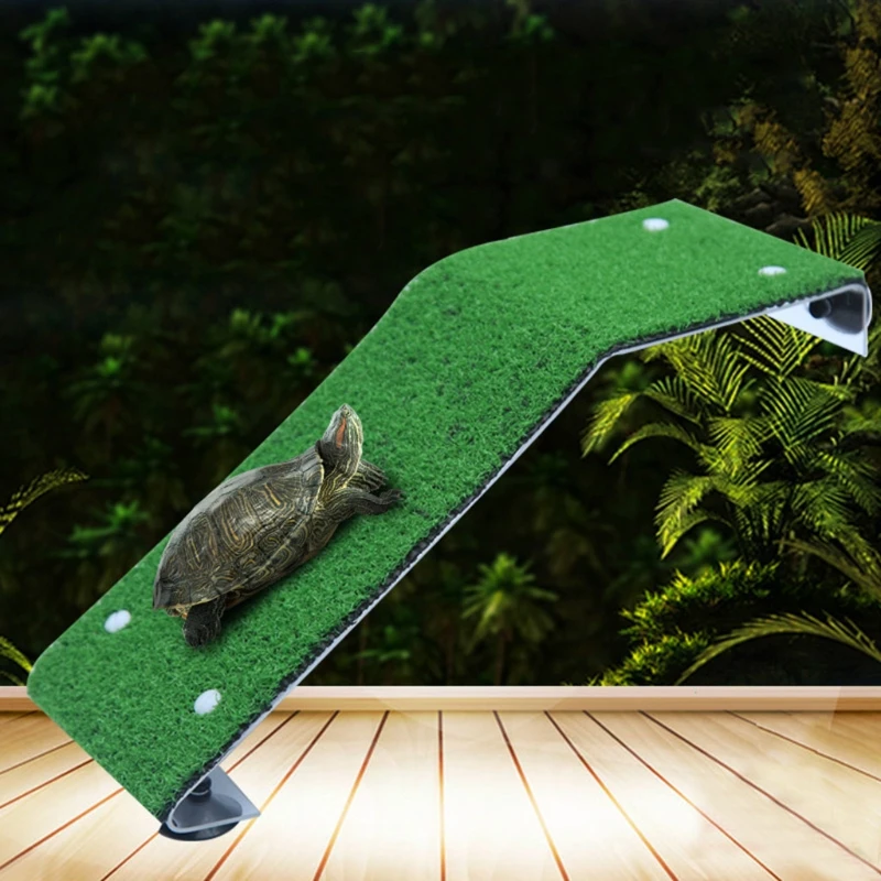 Reptile Ramp Platform Turtle Basking Rectangular Sunbathing Floating Platform Simulation Natural Lawn Habitat Climbing Ladder
Reptile Ramp Platform Turtle Basking Rectangular Sunbathing Floating Platform Simulation Natural Lawn Habitat Climbing Ladder