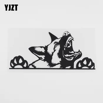 YJZT 17.2CMX7.6CM German Shepherd Snarling Dog Peeking Vinyl Car Sticker Black/Silver 8A-0086
YJZT 17.2CMX7.6CM German Shepherd Snarling Dog Peeking Vinyl Car Sticker Black/Silver 8A-0086