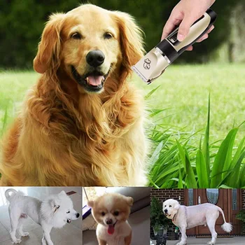 Rechargeable Low-noise Cat Hair Trimmer Electrical Pet Hair Clipper Remover Cutter Grooming Pets Hair Cut Dropshipping #7
Rechargeable Low-noise Cat Hair Trimmer Electrical Pet Hair Clipper Remover Cutter Grooming Pets Hair Cut Dropshipping #7