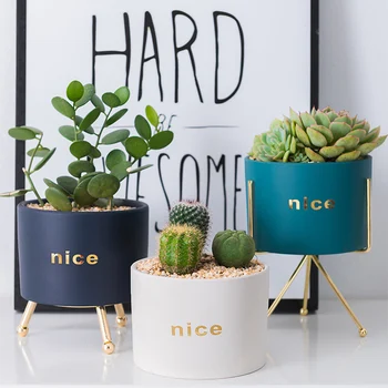 Nordic Minimalism Style Marble Pattern Golden Ceramics Iron Art Vase Tabletop Flower Pot Nice Home Wedding Living Room Decor
Nordic Minimalism Style Marble Pattern Golden Ceramics Iron Art Vase Tabletop Flower Pot Nice Home Wedding Living Room Decor