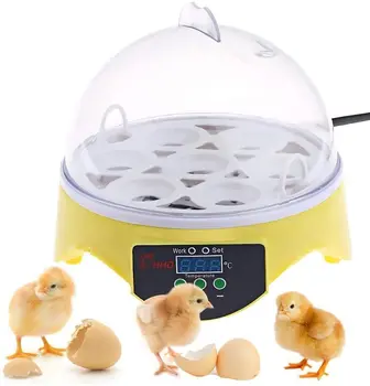Mini 7 Egg Incubator Poultry Incubator Brooder Digital Temperature Control Small Chicken Bird Egg Bird Hatchers Incubator
Mini 7 Egg Incubator Poultry Incubator Brooder Digital Temperature Control Small Chicken Bird Egg Bird Hatchers Incubator