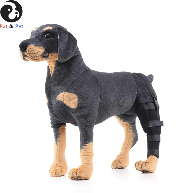 Dog Legs Post-Rehabilitation Leg Protection, Legs Knee Joint Brace Cover Joint Protection,Postoperative Walker for Dogs
Dog Legs Post-Rehabilitation Leg Protection, Legs Knee Joint Brace Cover Joint Protection,Postoperative Walker for Dogs