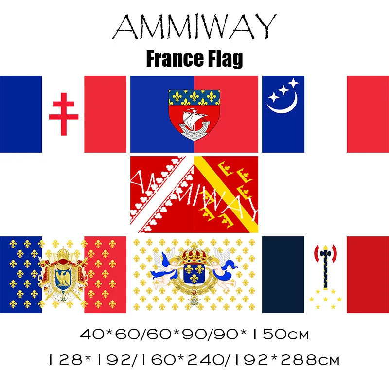 AMMIWAY Fanion Degaulle 1959 Париж с щитом Королевский стандарт короля Эльзаса главный