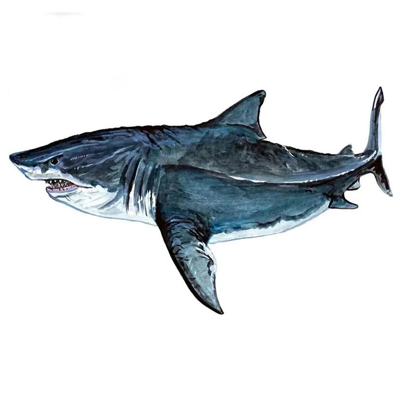 S50159 #13/15/17 см Индивидуальная ПВХ наклейка Megalodon Shark Водонепроницаемая Автомобильная наклейка на мотоцикл ноутбук декоративные аксессуары
S50159 #13/15/17 см Индивидуальная ПВХ наклейка Megalodon Shark Водонепроницаемая Автомобильная наклейка на мотоцикл ноутбук декоративные аксессуары