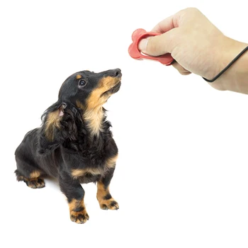 Pet Dog Stainless Steel Training Clicker With Wrist Strap Portable Trainers Safe For Pets Puppy Training
Pet Dog Stainless Steel Training Clicker With Wrist Strap Portable Trainers Safe For Pets Puppy Training