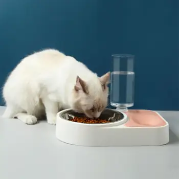 Multifunction Stainless Steel Pet Cat Automatic Drinking Fountain Water Dispenser Bowl Feeder Drink Filter for Dog Cat Feeding
Multifunction Stainless Steel Pet Cat Automatic Drinking Fountain Water Dispenser Bowl Feeder Drink Filter for Dog Cat Feeding