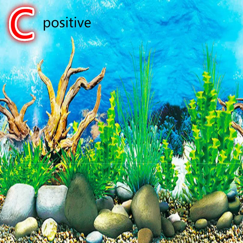 C1