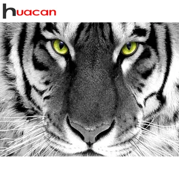 Huacan Diamond Painting Full Square/Round New Arrival Tiger Diamond Embroidery Sale Animal Home Decoration
Huacan Diamond Painting Full Square/Round New Arrival Tiger Diamond Embroidery Sale Animal Home Decoration