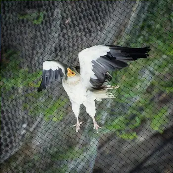 210D 2.5cm Mesh Orchard Garden Anti-bird Net Outdoor Garden Anti-sparrow Net Home Garden Insect Control Supplies
210D 2.5cm Mesh Orchard Garden Anti-bird Net Outdoor Garden Anti-sparrow Net Home Garden Insect Control Supplies