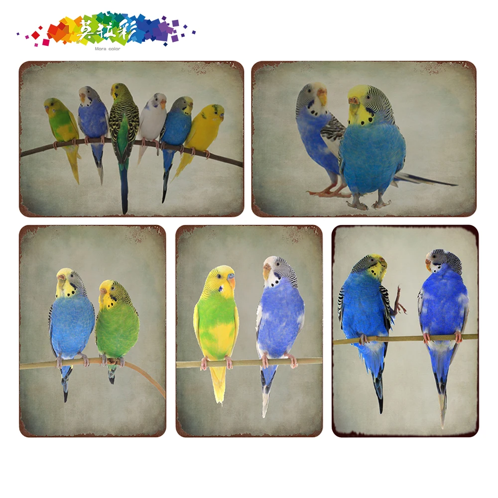 Mora color Animal series bird parrots tin Sign Vintage Metal Pub Club Cafe bar Home Wall Art Decoration Poster Retro
Mora color Animal series bird parrots tin Sign Vintage Metal Pub Club Cafe bar Home Wall Art Decoration Poster Retro