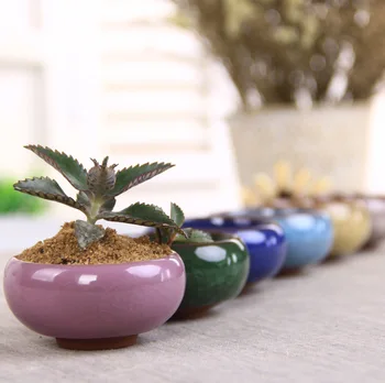 Ice Crack Succulent Flowerpot Colorful Mini Small Succulent Creative Desktop Small Pots Ice Crack Thumb Flowerpot
Ice Crack Succulent Flowerpot Colorful Mini Small Succulent Creative Desktop Small Pots Ice Crack Thumb Flowerpot