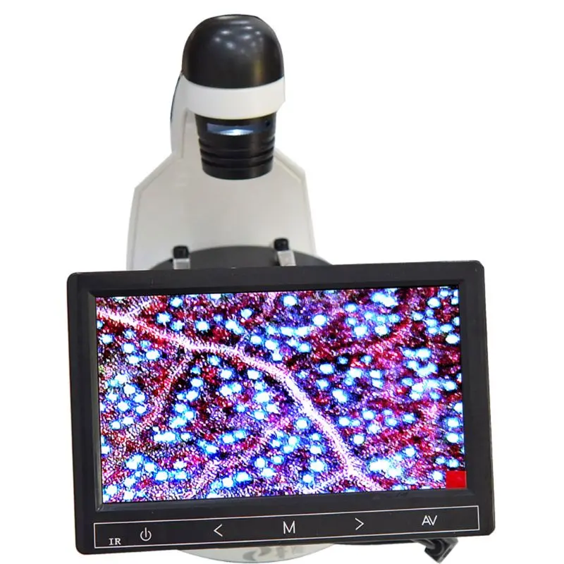 Monocular Inverted Microscope Triple 4x 10x 20x Coarse 40x-320x for Educational 831F
Monocular Inverted Microscope Triple 4x 10x 20x Coarse 40x-320x for Educational 831F