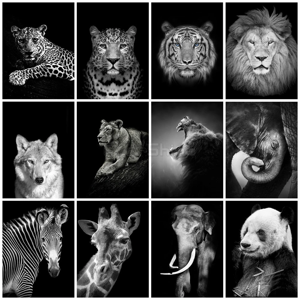 EverShine 5D Diamond Painting Full Square Cross Stitch Diamond Embroidery Tiger Rhinestones Art Hobby Gift Home Decoration
EverShine 5D Diamond Painting Full Square Cross Stitch Diamond Embroidery Tiger Rhinestones Art Hobby Gift Home Decoration