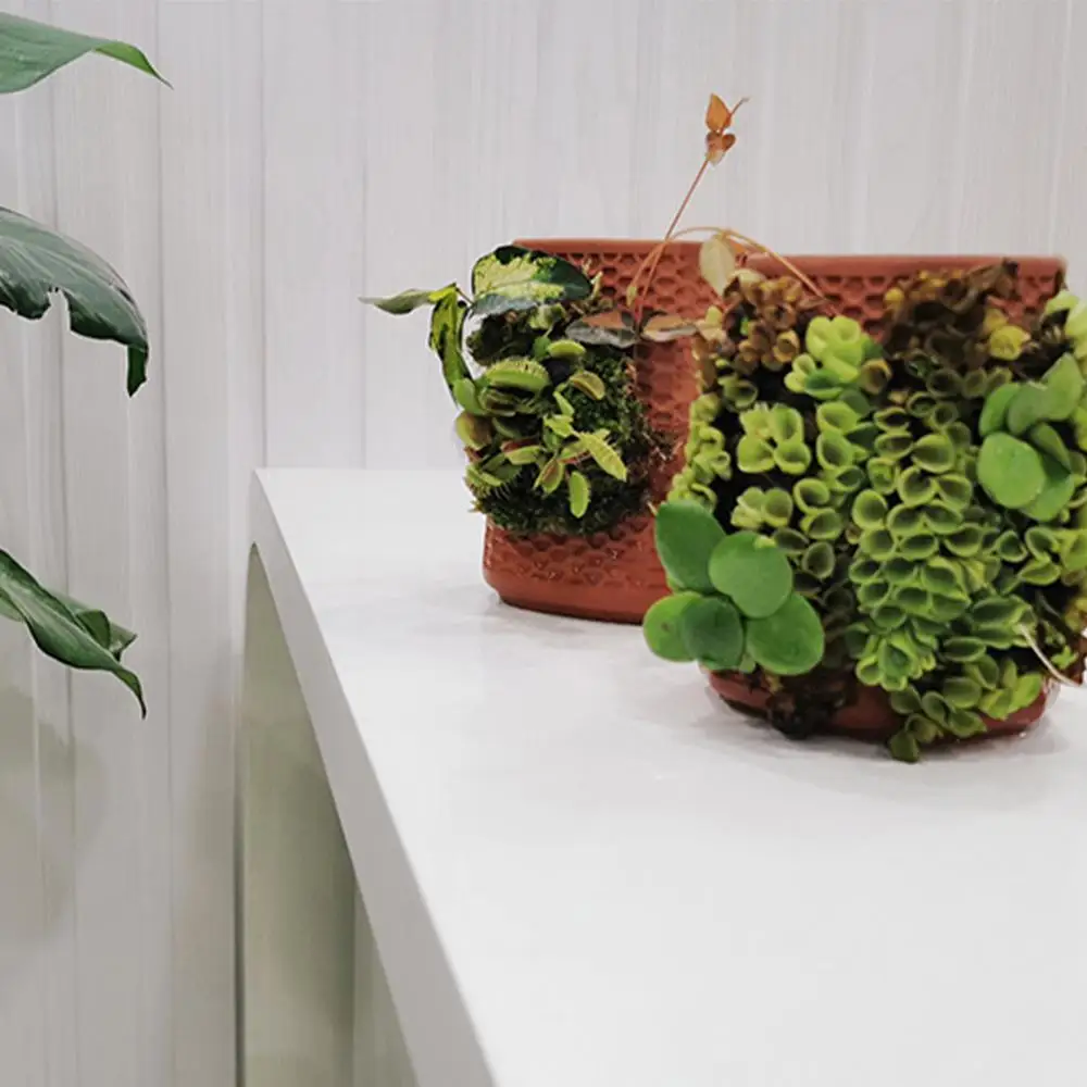 1pcs Automatic Watering Ceramic Flower Pot Self-Watering Planter Ceramic Flowerpots Ceramic Planter Garden Macetas Decorativas
1pcs Automatic Watering Ceramic Flower Pot Self-Watering Planter Ceramic Flowerpots Ceramic Planter Garden Macetas Decorativas