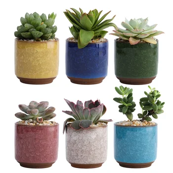 6pcs Succulent Pot Ceramic Decorative Coloured Durable Container Basin Succulent Pot for Office
6pcs Succulent Pot Ceramic Decorative Coloured Durable Container Basin Succulent Pot for Office