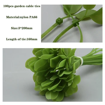 100pcs Adjustable Cable Ties With Leaves Shape Plastic Plant Potting Reusable Greenhouse Grow Kits Garden Tree Climbing Support
100pcs Adjustable Cable Ties With Leaves Shape Plastic Plant Potting Reusable Greenhouse Grow Kits Garden Tree Climbing Support