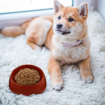 2PCS Pet Bowl Practical Plastic Durable Portable Food Bowl Food Feeder for Home
2PCS Pet Bowl Practical Plastic Durable Portable Food Bowl Food Feeder for Home